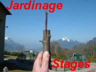 Image g�n�rique illustrant le type Jardinage et le sous type Stage/Formation